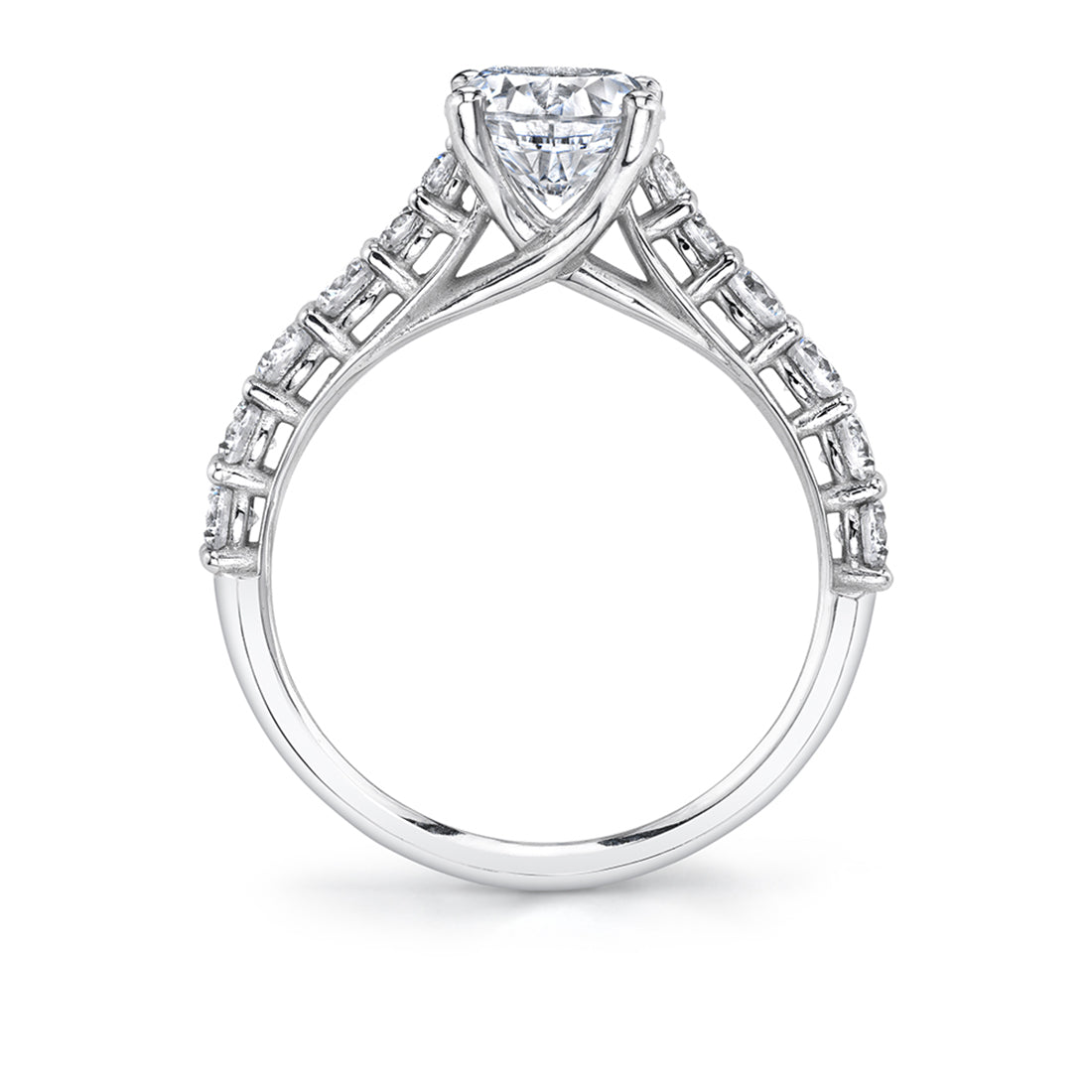 (Platinum White) Classic Engagement Ring - Alexei
