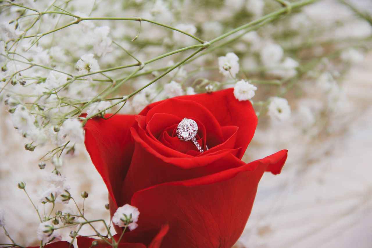 Round cut diamond ring sitting on a rose