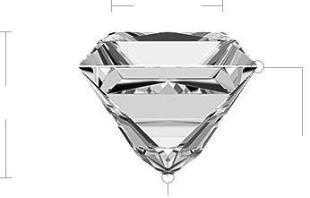 Princess Diamond Side View Princess Diamond Side View